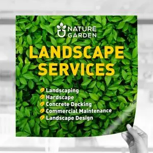Opaque Window Graphics